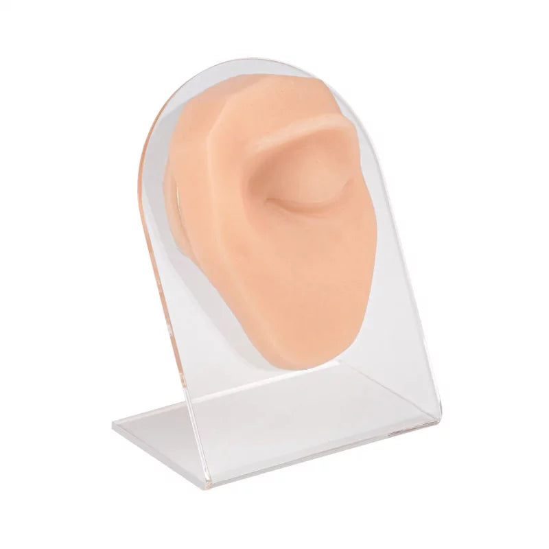 Eyebrow Piercing Silicone Model