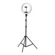 13 inch black LED ring light with tripod and phone holder