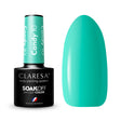 1-CLARESA-1