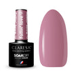 1-CLARESA-1