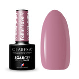 1-CLARESA-1