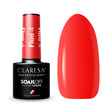 1-CLARESA-1