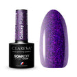 1-CLARESA-1