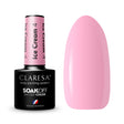 1-CLARESA-1