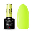 1-CLARESA-1