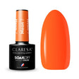 1-CLARESA-1