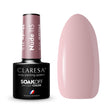 1-CLARESA-1