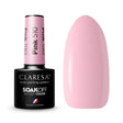 1-CLARESA-1