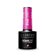1-CLARESA-1