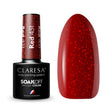 1-CLARESA-1