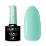 1-CLARESA-1