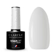 1-CLARESA-1