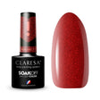 1-CLARESA-1