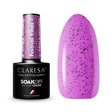 1-CLARESA-1