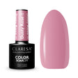 1-CLARESA-1