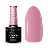 1-CLARESA-1
