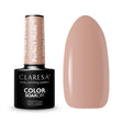 1-CLARESA-1