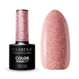 1-CLARESA-1