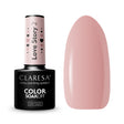 1-CLARESA-1