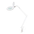 Elegante 6031 tabletop magnifying lamp with 3-dioptre LED lens