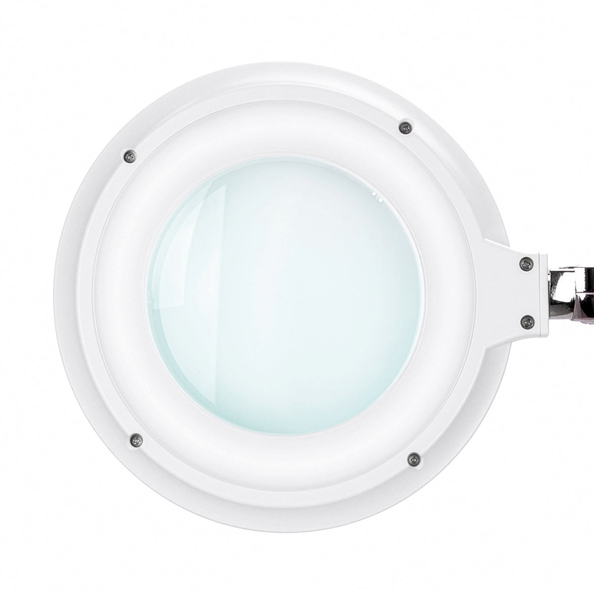 Elegante 6031 professional magnifying lamp for lash and beauty services