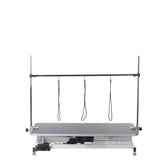 Electrical Grooming Table XL BP-305 White - BVShop