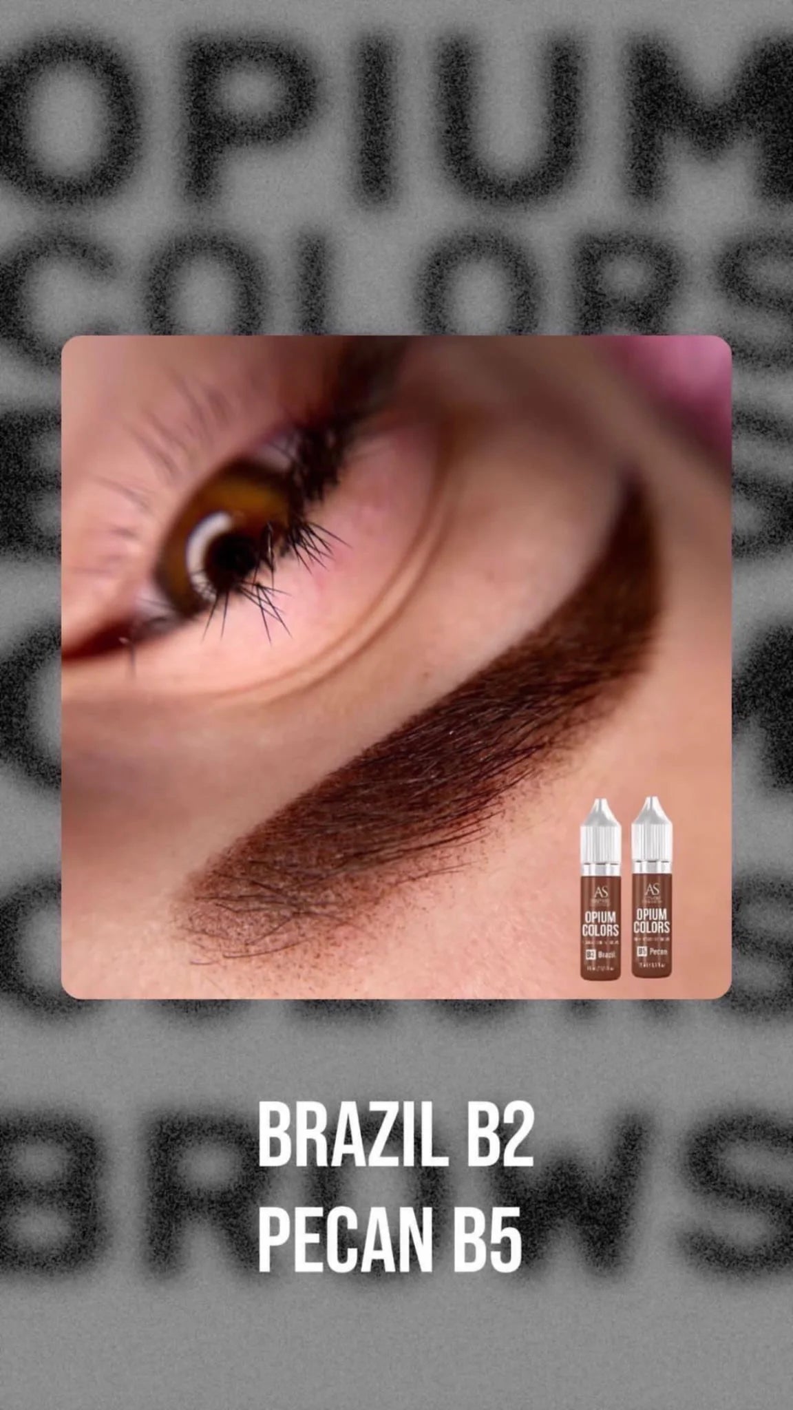 AS COMPANY B5-Pecan (OPIUM COLORS) 6/15ml - BVShop