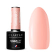 CLARESA Hybrid nail polish LOLLIPOP 2 -5g - BVShop