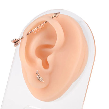 Kõrvaaugustamise silikoonist mudel