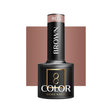 OCHO NAILS Hybrid nail polish brown 805 -5 g - BVShop