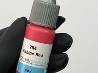 Nouveau Contour orgaaniline huulepigment 704-Rubiinpunane 10ml