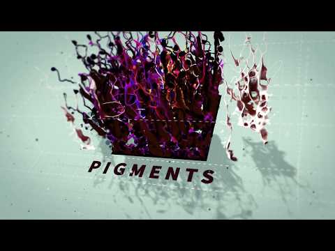 Li Pigmentid Velvet Onyx Pigment 15ml