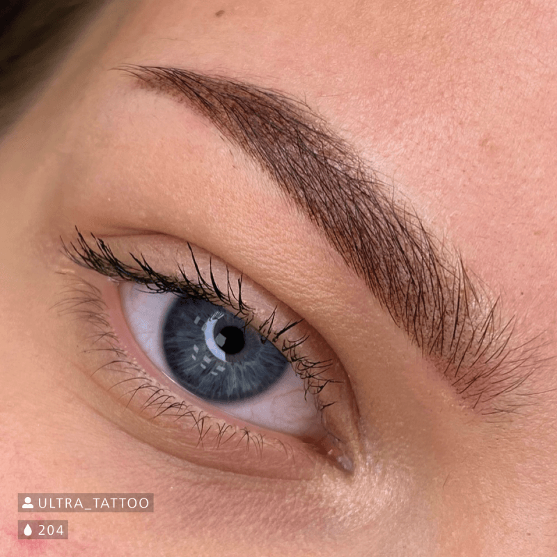 Swiss Color 204 Hazel Brown Eyebrow Pigment - BVShop