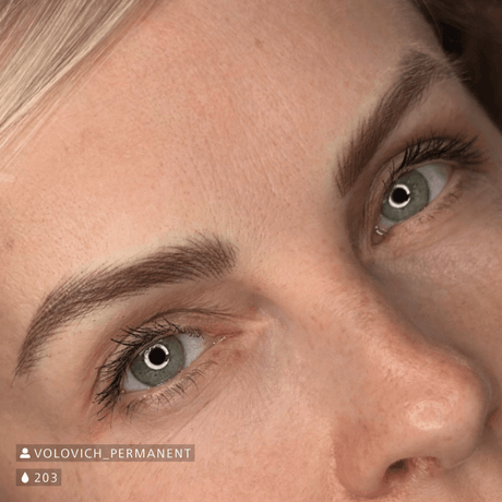 Swiss Color 203 Chocolate Brown Eyebrow Pigment - BVShop