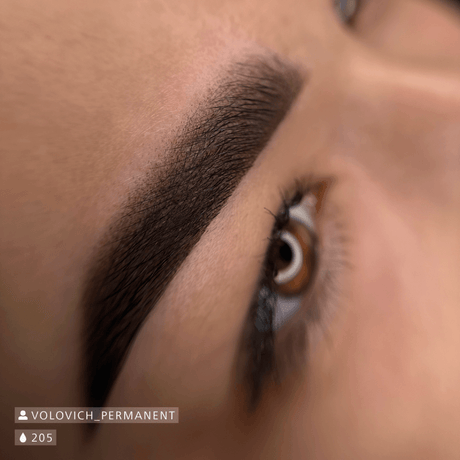 Swiss Color 205 Dark Brown Eyebrow Pigment - BVShop