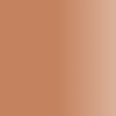 Swiss Color 407 Soft Terra Lip Pigment - BVShop