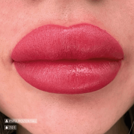 Swiss Color 701 Wild Rose Lip Pigment - BVShop