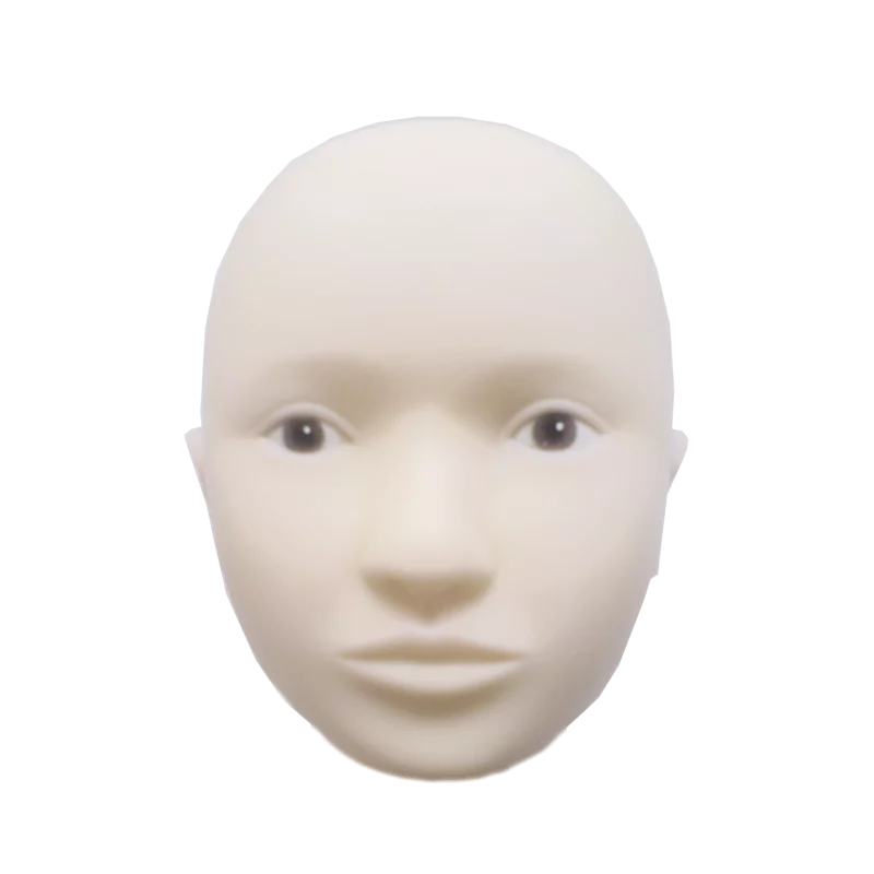 Swiss Color Doll Head Interchangeable Skin - BVShop